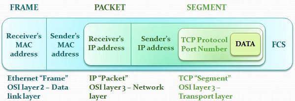 difference-between-frame-and-packet-with-comparison-chart