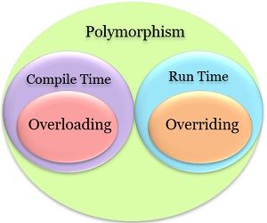 Polymorphism new
