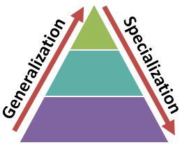 generalisation_vs_specialisation