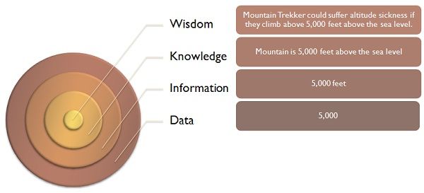 intelligence heirarchy