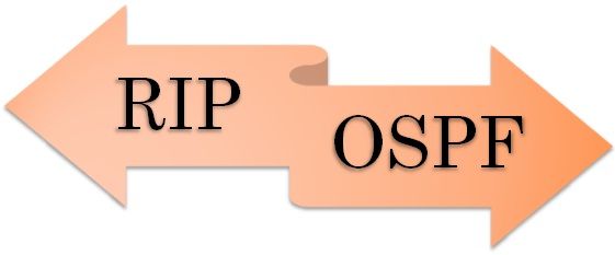 Difference between RIP and OSPF