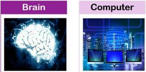 human brain vs computer essay